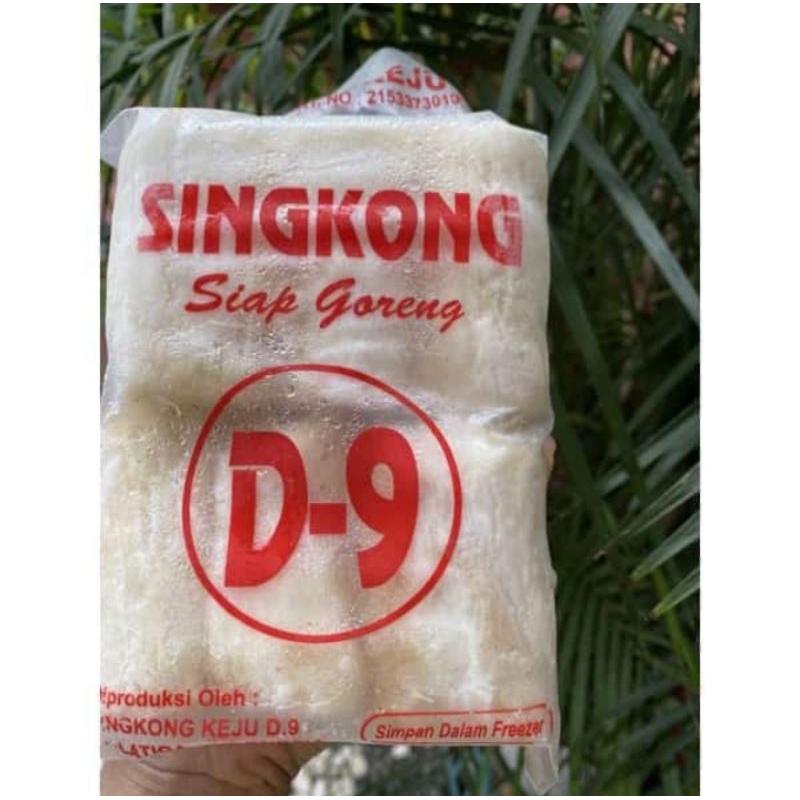 SINGKONG KEJU D-9