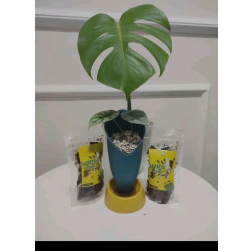 

keripik pisang coklat