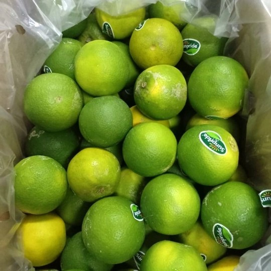 Jeruk Baby Pacitan Sunpride