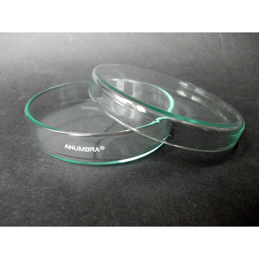 ANUMBRA Petridish glass 150 x 25 mm Cawan Petri kaca soda lime