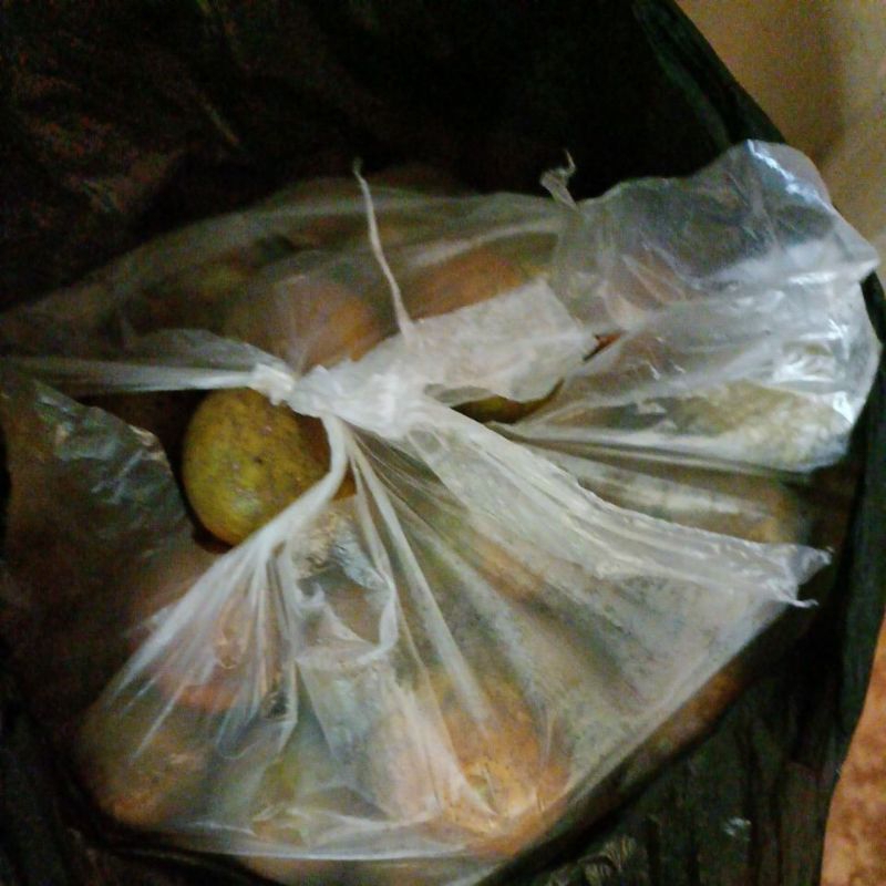

jeruk buah manis