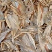 

ready jkt ikan tipis ikan kerupuk khas tarakan jambrong