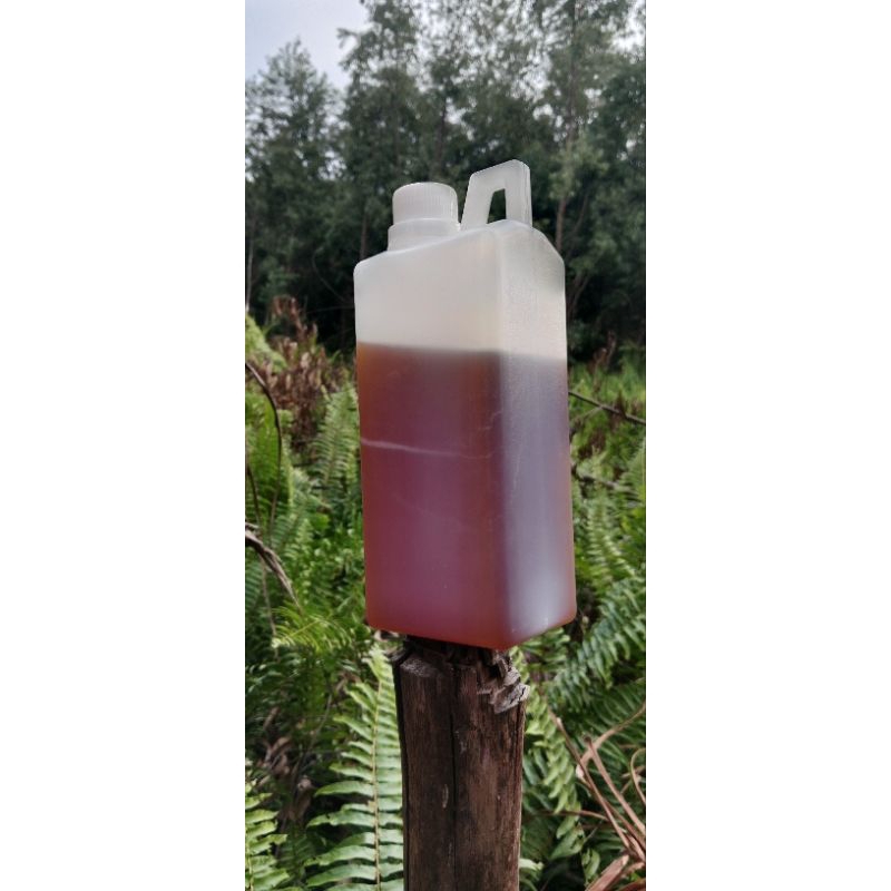 

MADU HUTAN LIAR /MADU SIALANG KEMASAN 1 KG