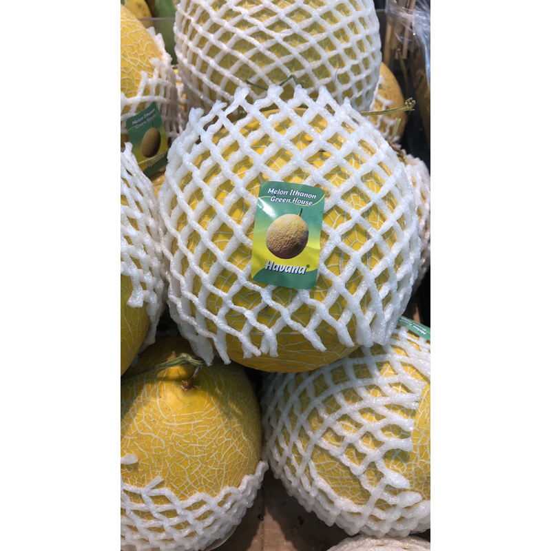 

Buah Melon inthanon Green House Ivana / Pcs