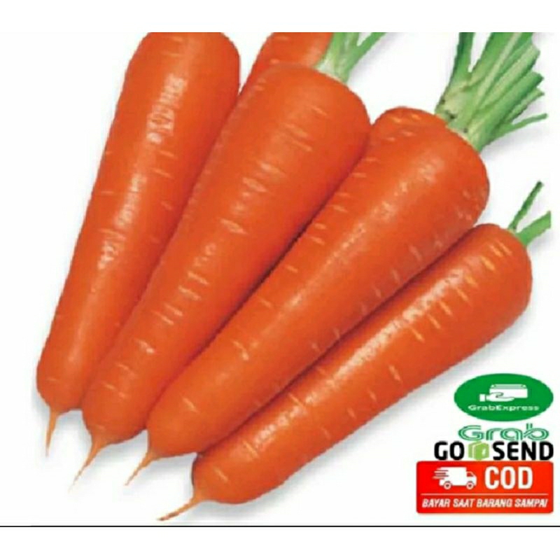 wortel buah impor segar 1kg