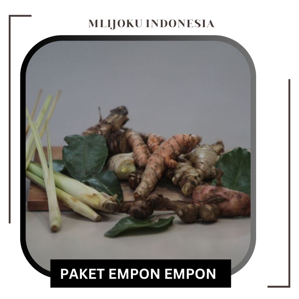 

Paket Empon Empon - Paket bumbu - Paket Sayur