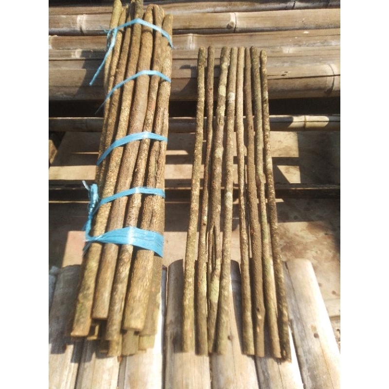 TANGKRINGAN ASEM BALI ISTIMEWA GRADE A+