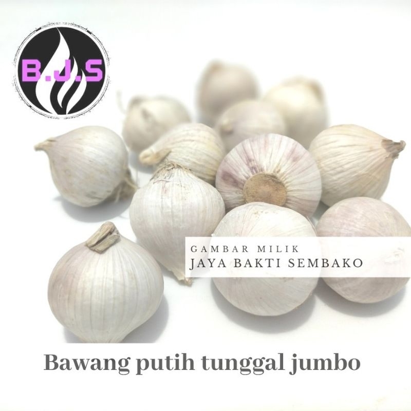 

bawang putih tunggal lanang jumbo 1kg