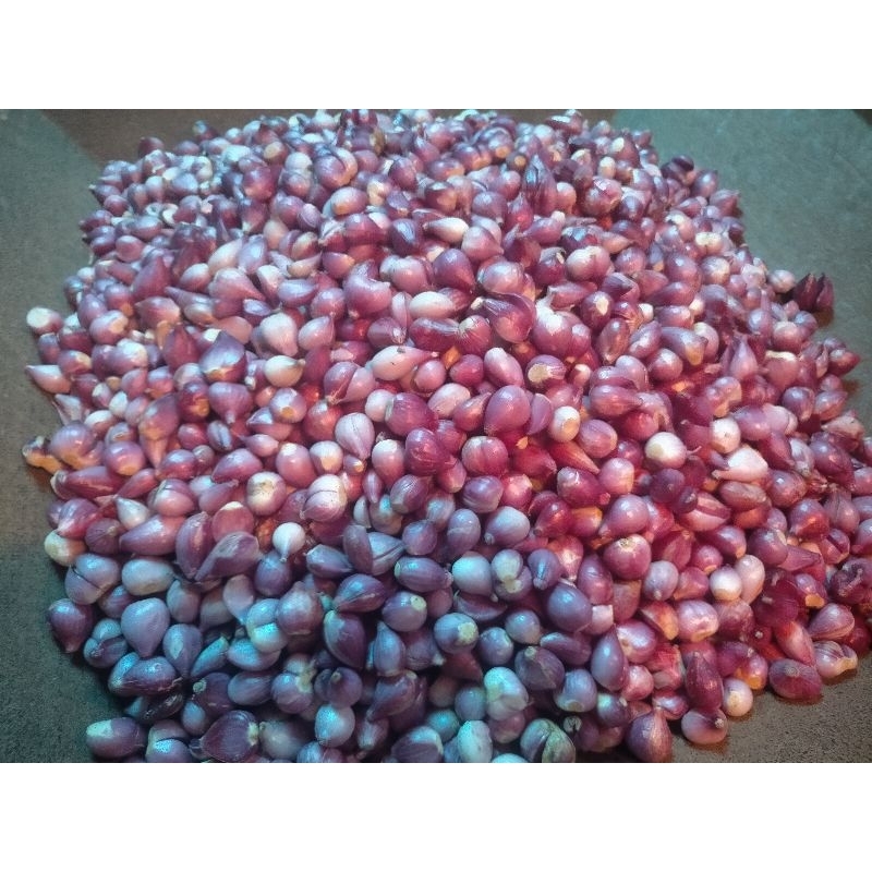 

bawang merah kupas brebes 1kg