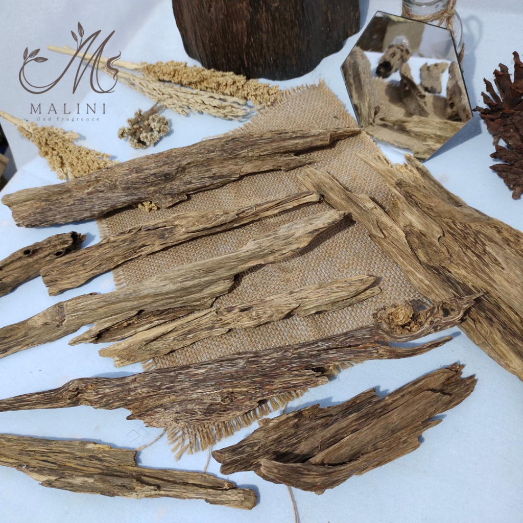 KAYU GAHARU MALINAU AB SUPER TABII OUD AGARWOOD ORIGINAL KALIMANTAN