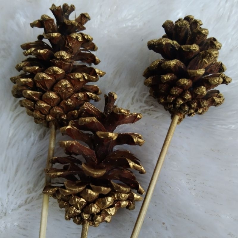 bunga pinus gold hiasan vas dan bouquet dekorasi bunga kering