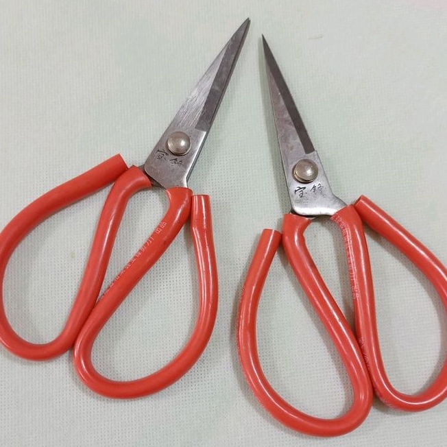 

Gunting Kodok Sedang