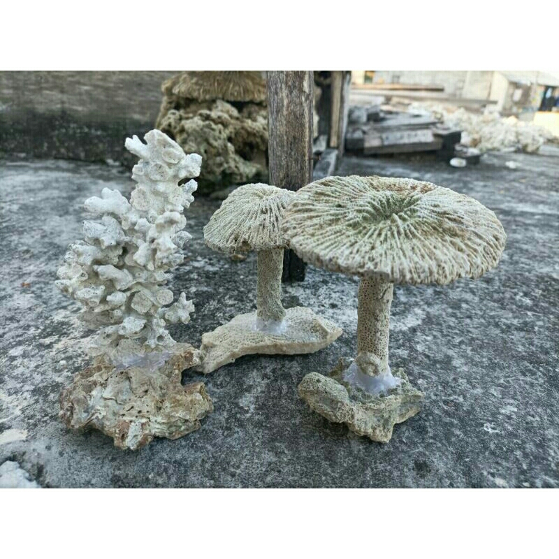 Batu karang hiasan aquarium rumah ikan