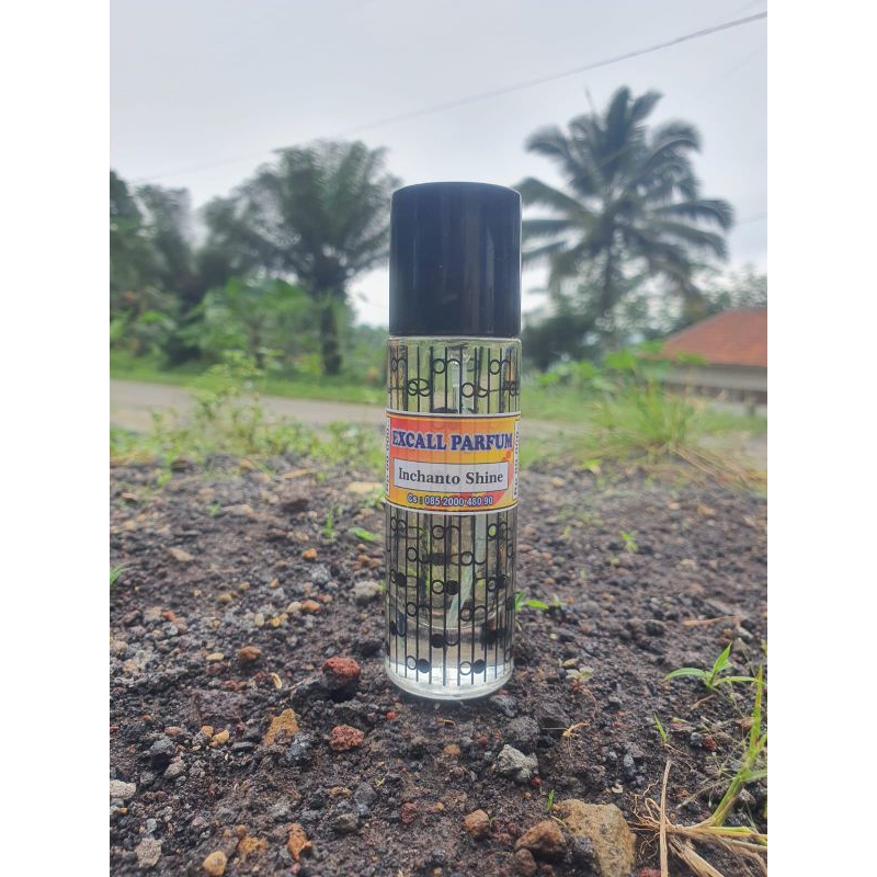 Parfum Refill Inchanto Shine