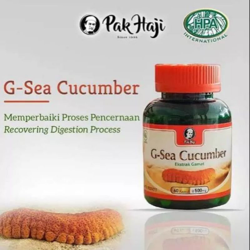 g sea cucumber gamat emas hpa