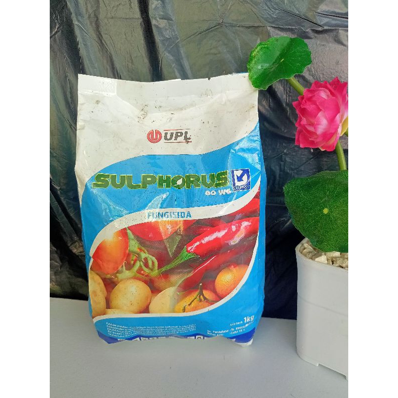 FUNGISIDA SULPHORUS 80 WG 1kg