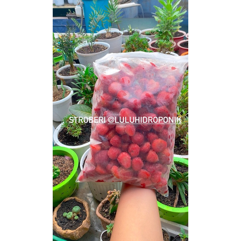 

Stroberi Stroberry Strawberry Frozen Beku 1 Kg