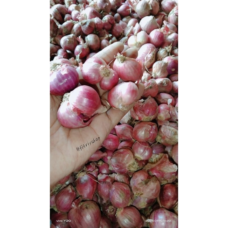 

BAWANG MERAH LOKAL BUMBU DAPUR MURAH 250&500gram DAN 1 KG