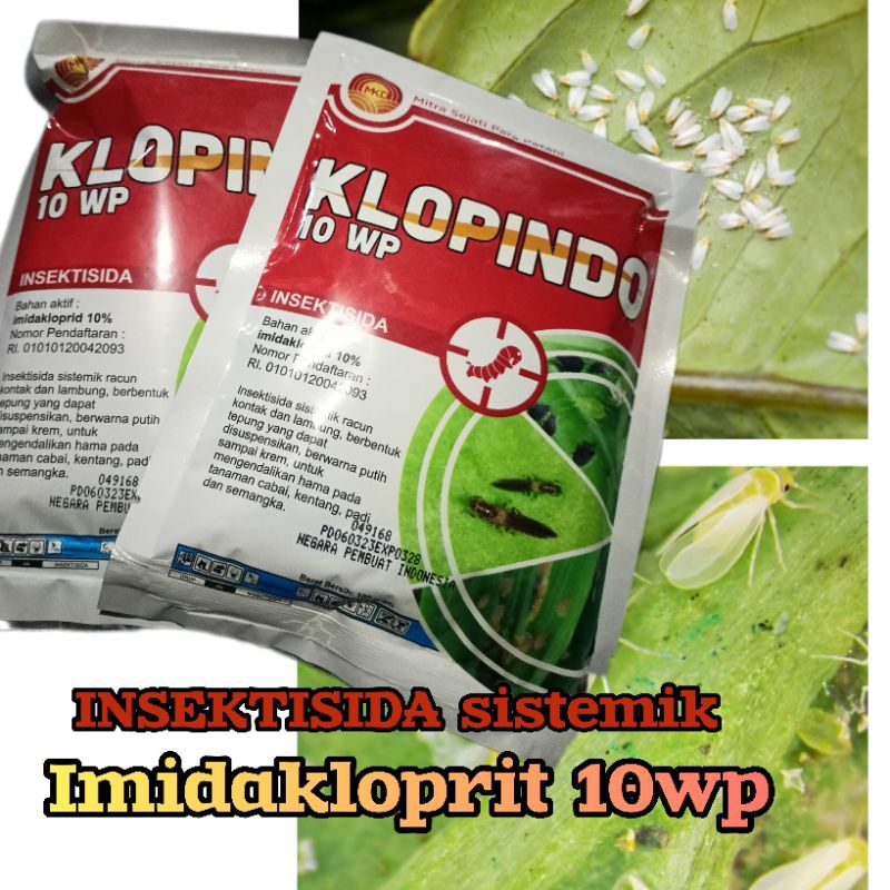 klopindo10wp100grm