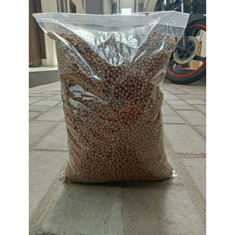 PAKAN MAKANAN PELET IKAN GABUS CHANA CHANNA CANNA CANA