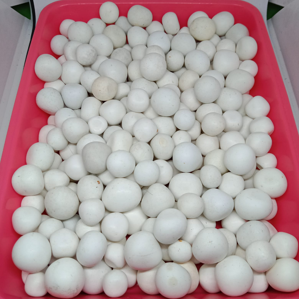 Batu Tidar asli alam great B kondisi penyok dikit murah