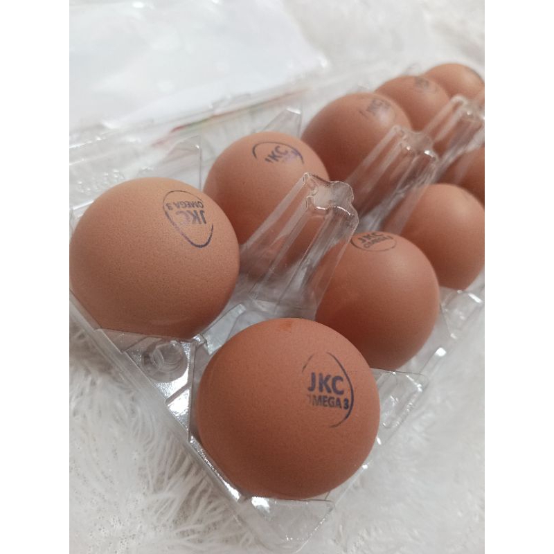 

Telur Omega