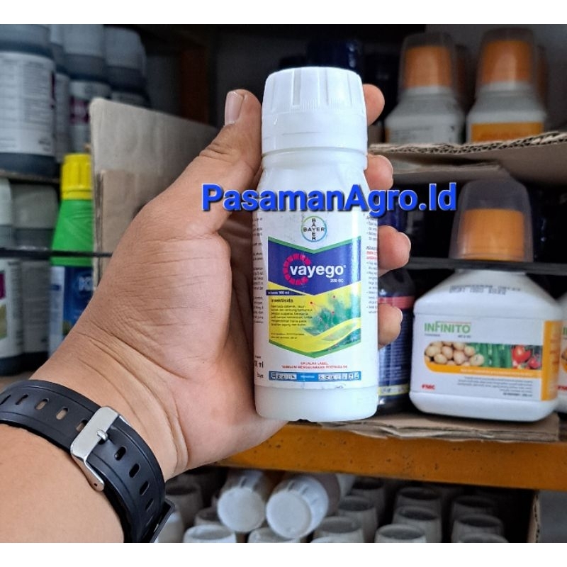 INSEKTISIDA VAYEGO 200 SC - 100 ML