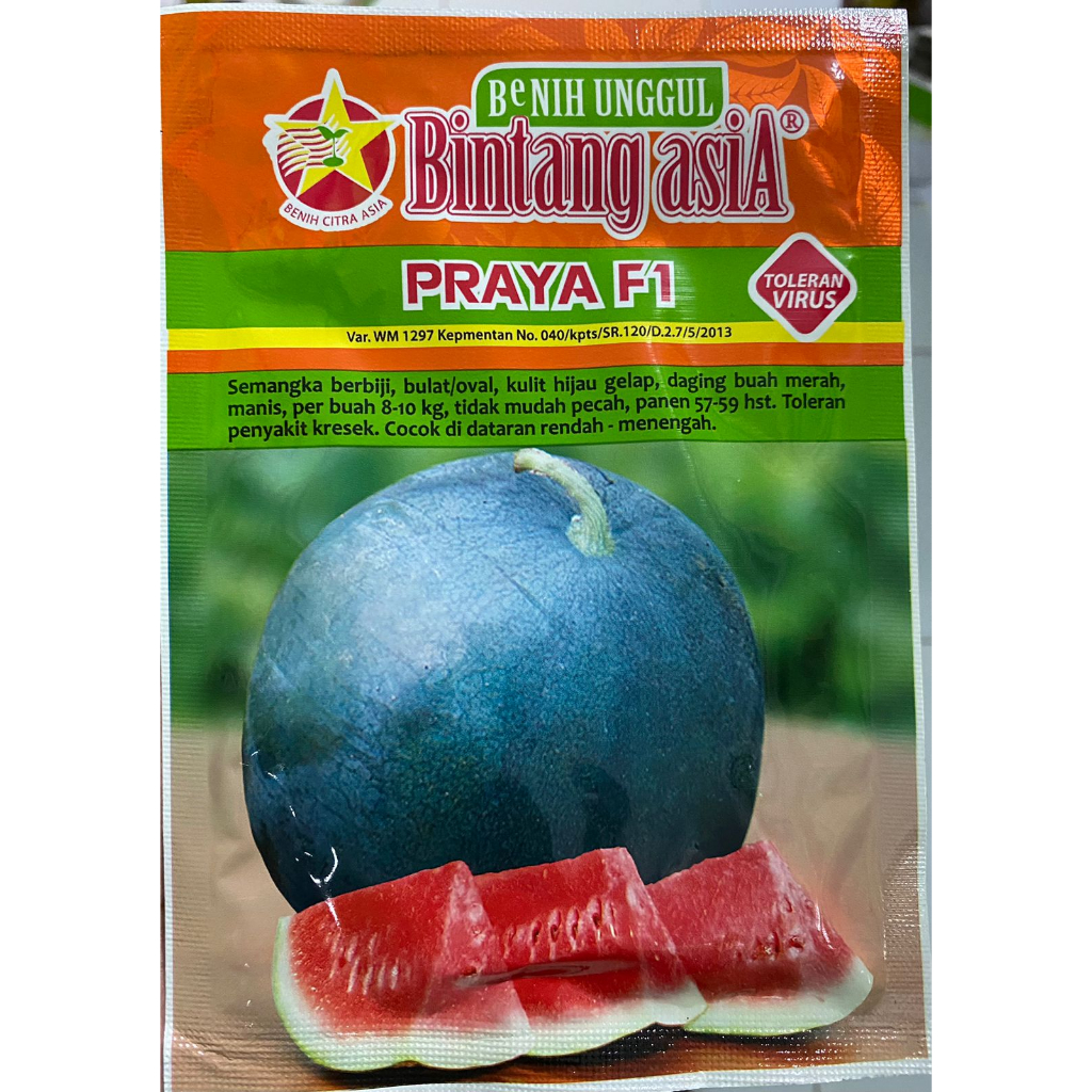 benih semangka PRAYA F1 20 gr BINTANG ASIA