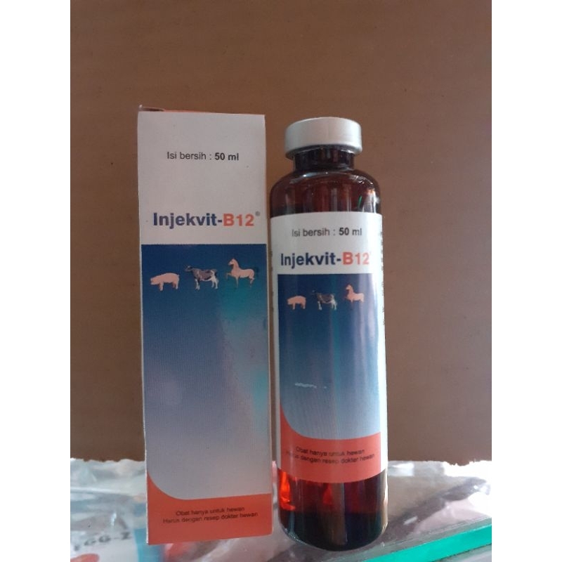 INJEKVIT B12 VITAMIN B12 50 ML VITAMIN SAPI VITAMIN KAMBING VITAMIN BABI VITAMIN KUDA INJEKSI VITAMI