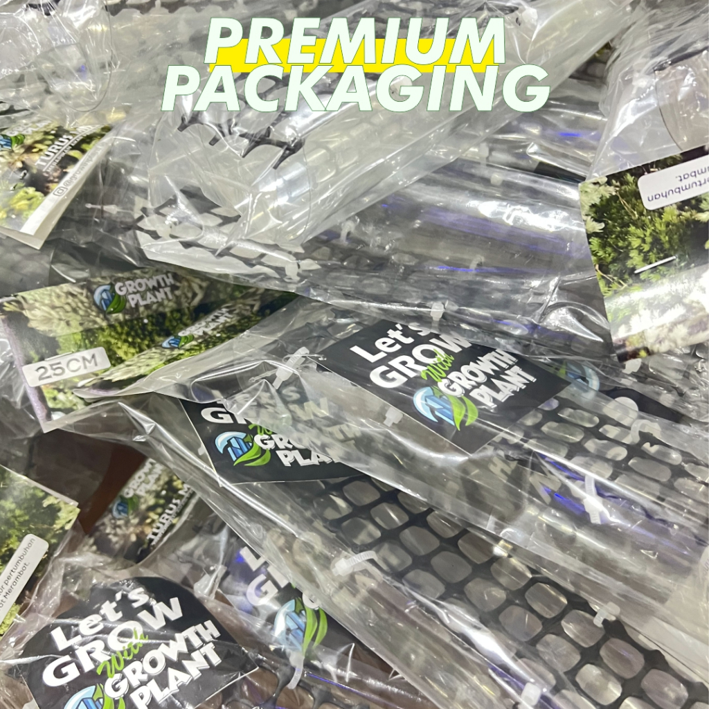 Mokilo43 Turus Mika Penyangga Tanaman Hias Rambat Turus Fiber Turus Pohon