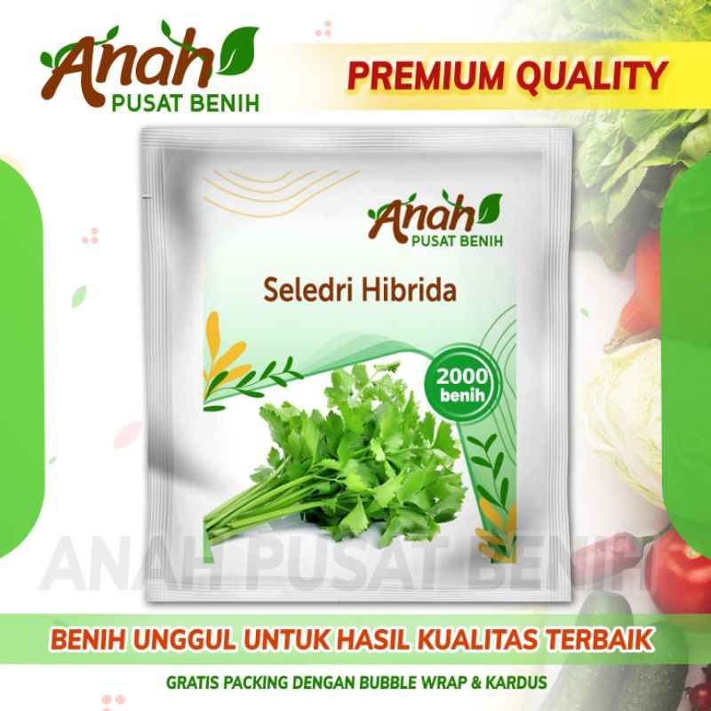 2000 Biji benih sayuran seledri hibrida / bibit sayuran seledri