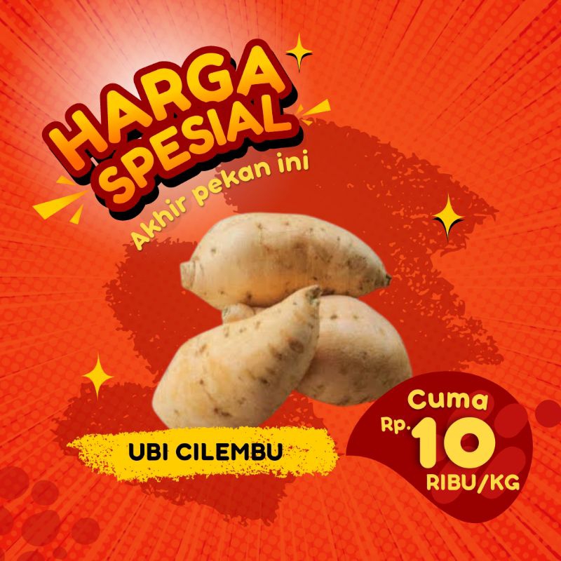 

ubi madu Cilembu mentah ubi Cilembu kecil ubi Cilembu 1kg ubi Cilembu asli