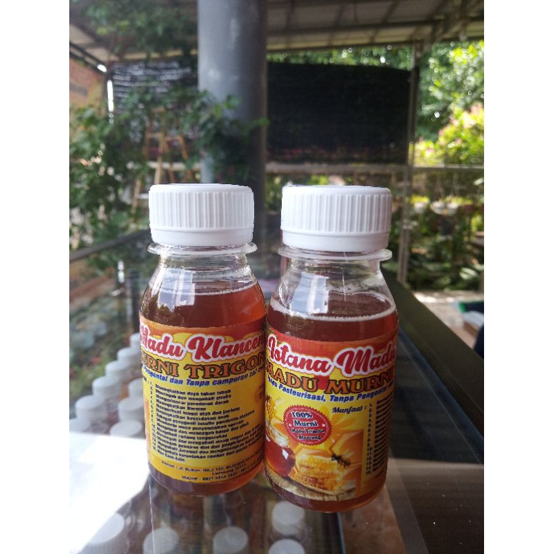 

Madu klanceng 50 Ml 100% Asli Madu murni