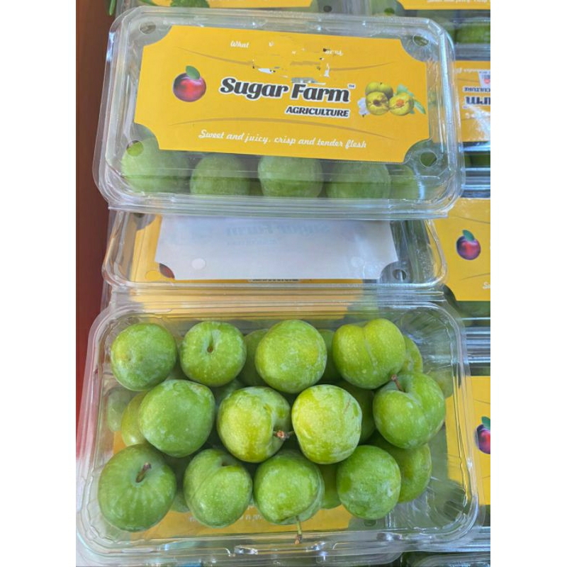 

Plum Green Crispy Fresh Rrc | buah plum hijau cherry | pack
