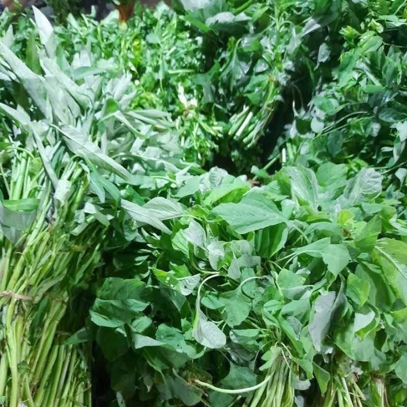 

sayur-sayuran hijau.bayam/kangkung (DLL)