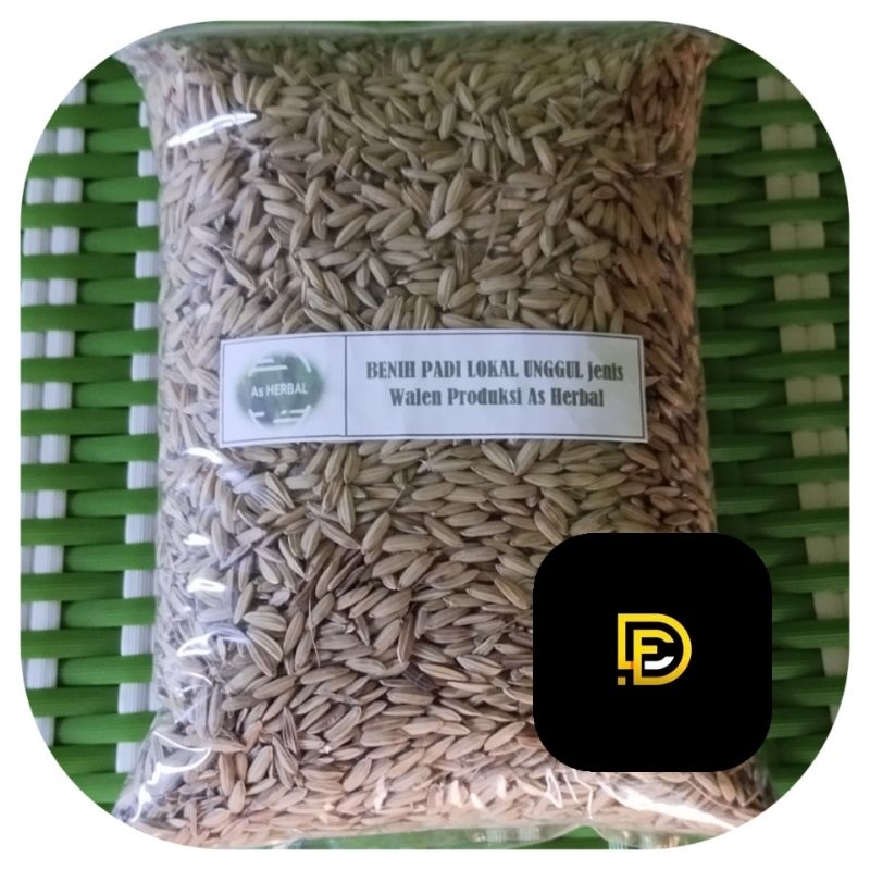 Benih padi lokal super bibit padi super-az