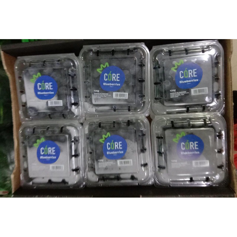 

Buah Blueberry Import Spain 125 grm