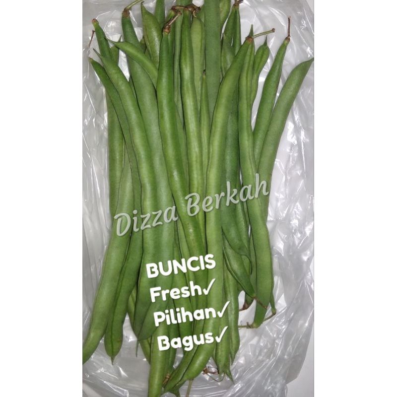 

Buncis/250gr/Fresh/Bagus/Pilihan/Dizza Berkah