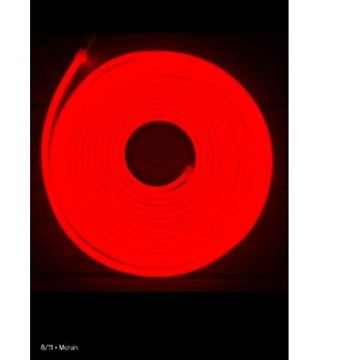 NEON FLEK LAMPU LAMPU LED SELANG 5 METER DC 12V