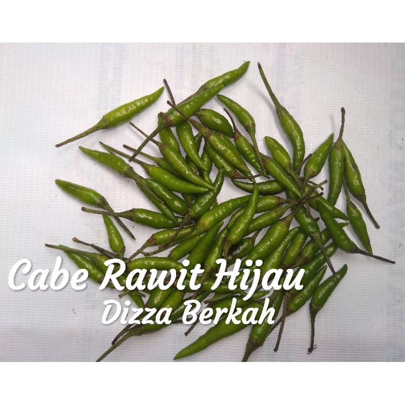 

Cabe Rawit Ijo/Cabai Rawit Hijau/100gr/Fresh/Pilihan/Bagus/Dizza Berkah