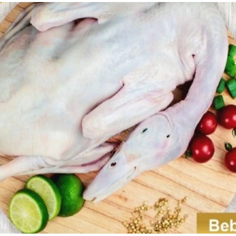 Daging Bebek mentah 1 ekor per ekor berat 1 - 1,2 kg
