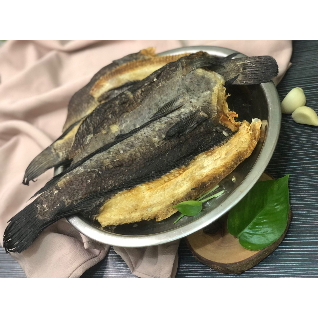 

ikan asin gabus laut