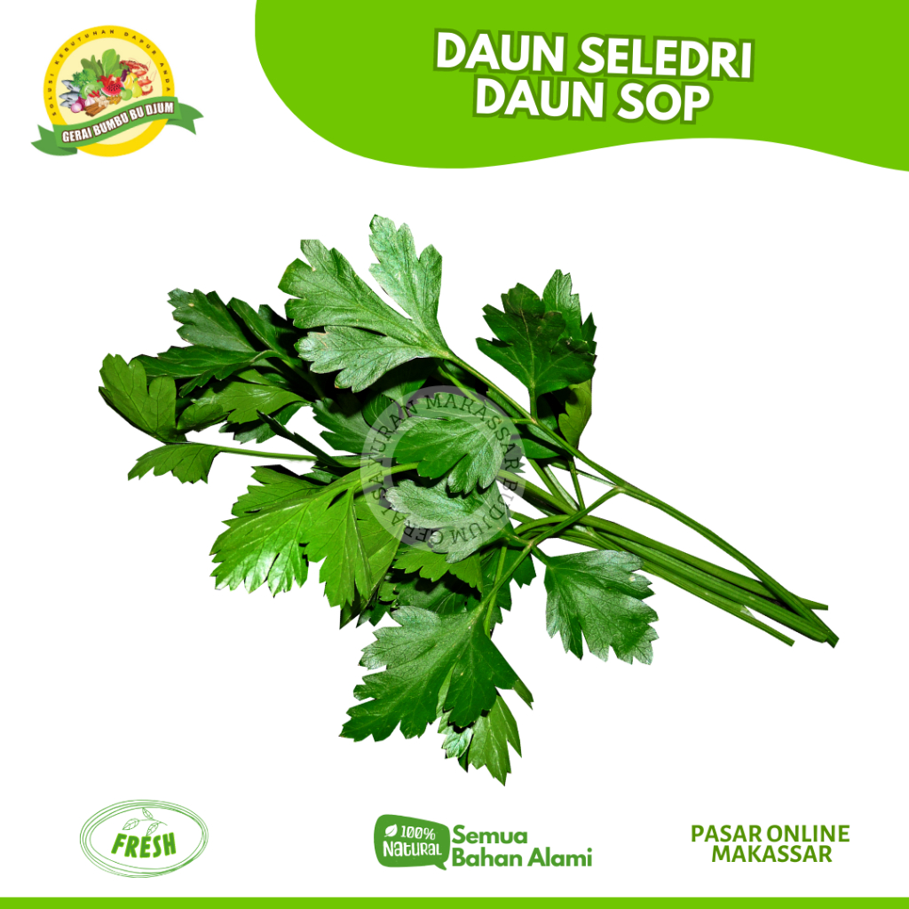

Sayur Daun Seledri / Daun Sop Fresh Murah Sayuran Online Makassar Pasar Online