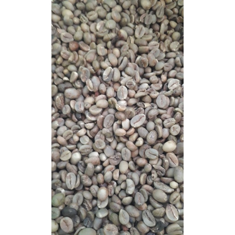 

kopi robusta asalan