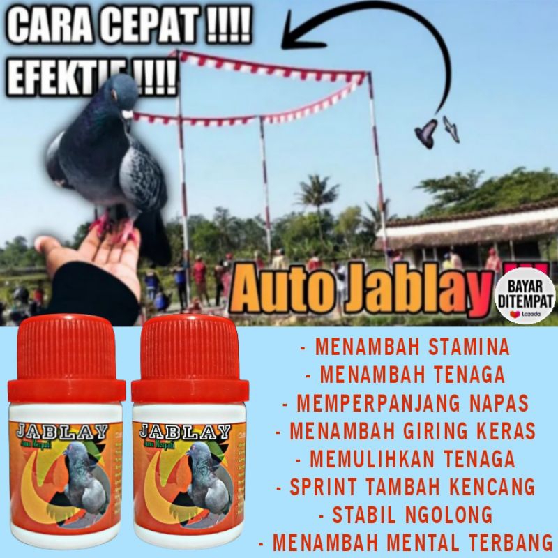 JAMU KHUSUS MERPATI JA BLAY ISI 100 BUTIR extra power door super speed doping merpati kolong los dor