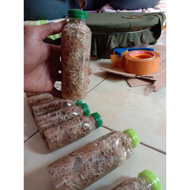 biang sepora jakaba full 250ml, pupuk organik untuk segala jenis tanaman