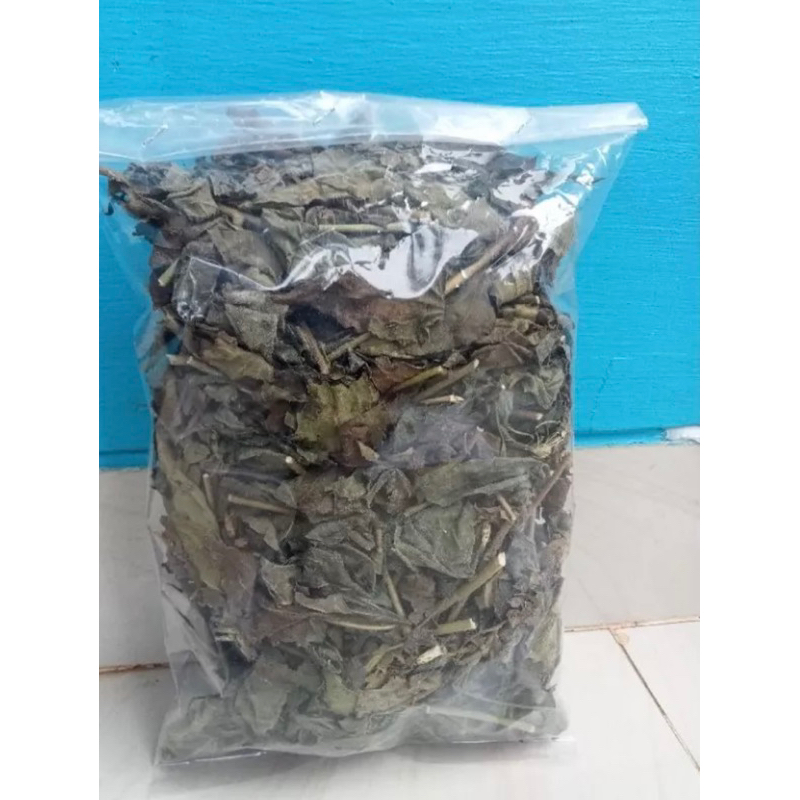 

daun kirinyuh kering