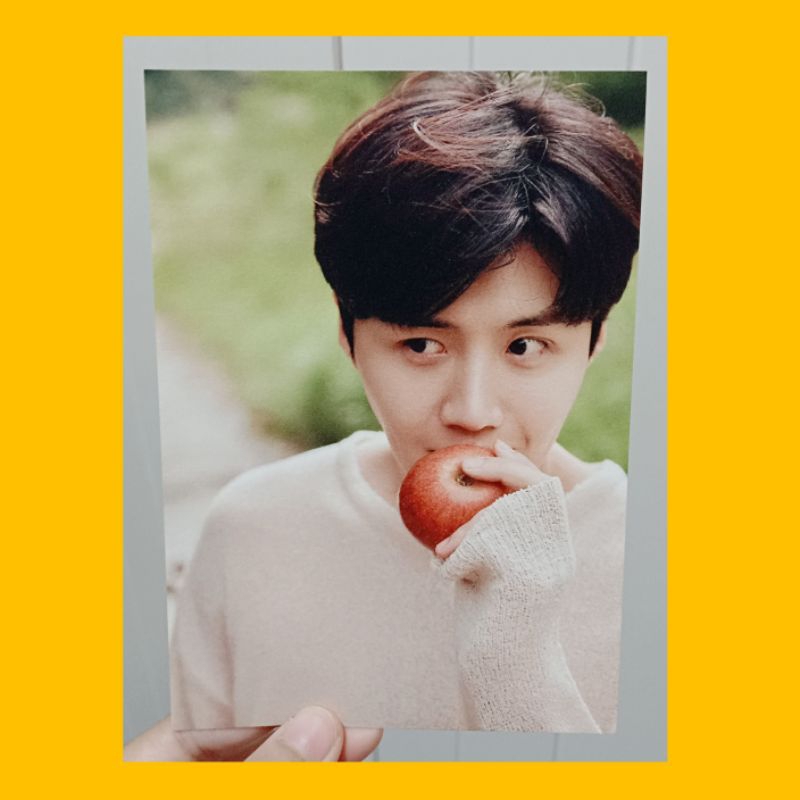 Kim Seon Ho Postcard from 2023 Photo Exhibition Our Season // Kim Seonho Official Merchandise