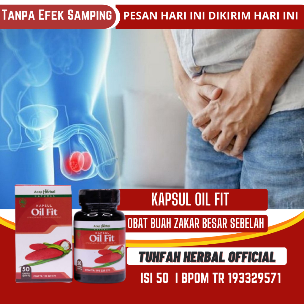 Obat Buah Zakar Bengkak, Obat Testis Bengkak Sebelah, Nyeri Buah Zakar, Obat Hidrokel, Penghilang Be