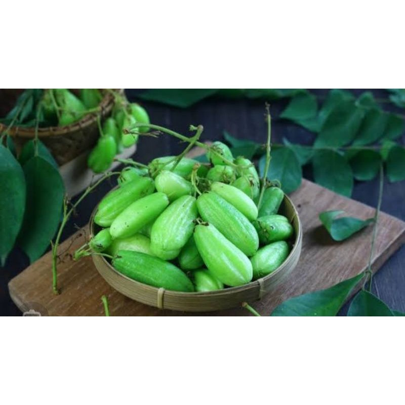 

Belimbing Wuluh Sayur 100gr